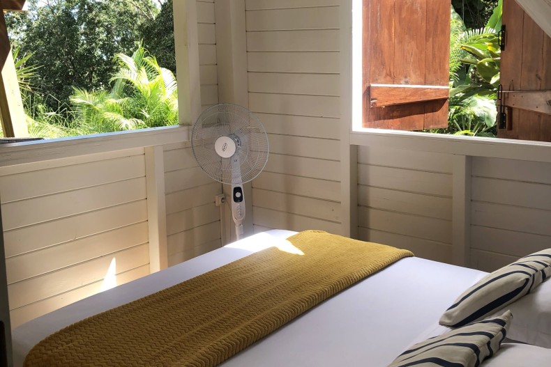 Le Palmier Royal 18056_image00051 recoupée.jpeg